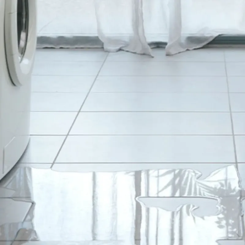 Appliance Leak Cleanup in Bayou Vista, TX
