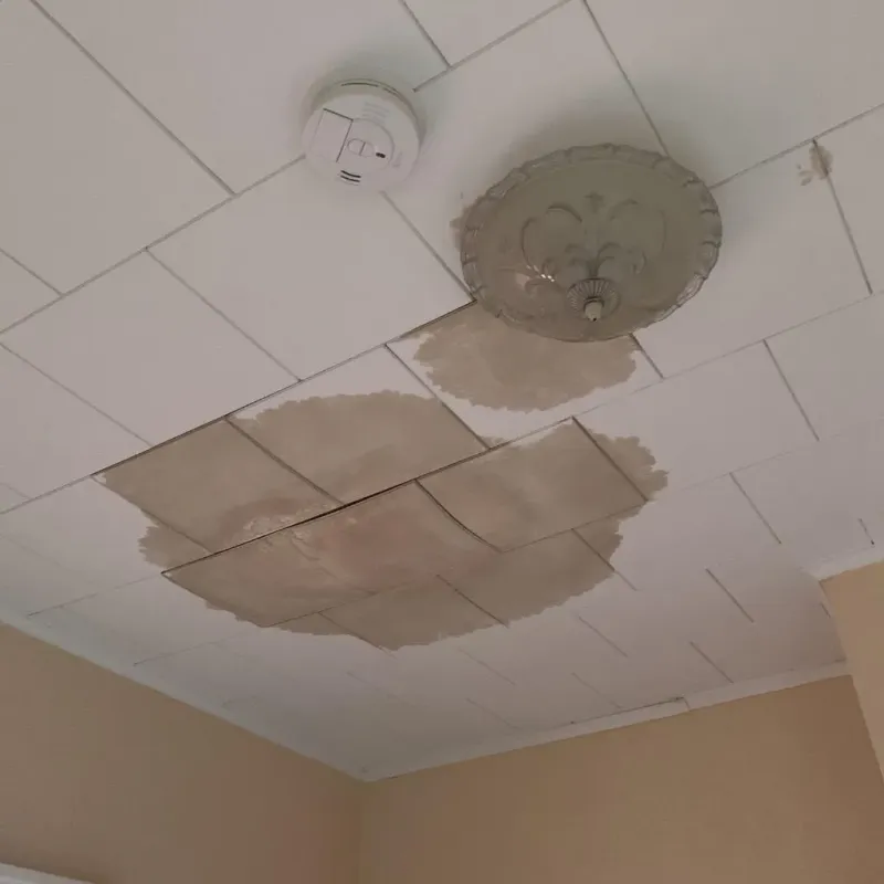 Ceiling Water Damage Repair in Bayou Vista, TX