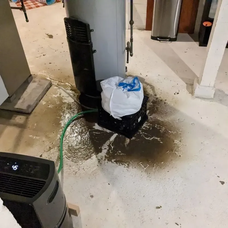 Sewage Backup Cleanup Service in Bayou Vista, TX
